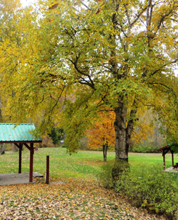 Pass Creek Regional Park & Campground