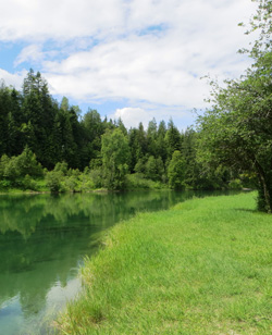 Winlaw Regional & Nature Park